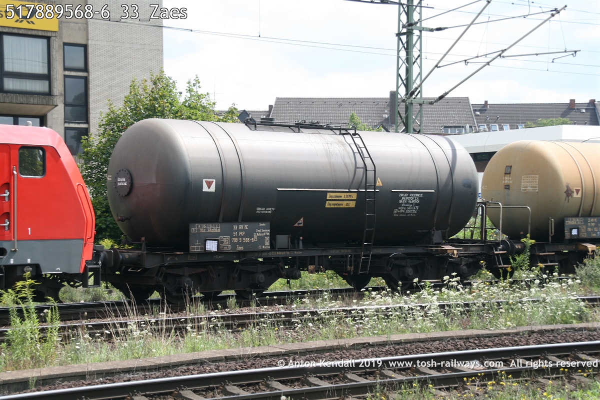 517889568-6_33_Zaes.jpg